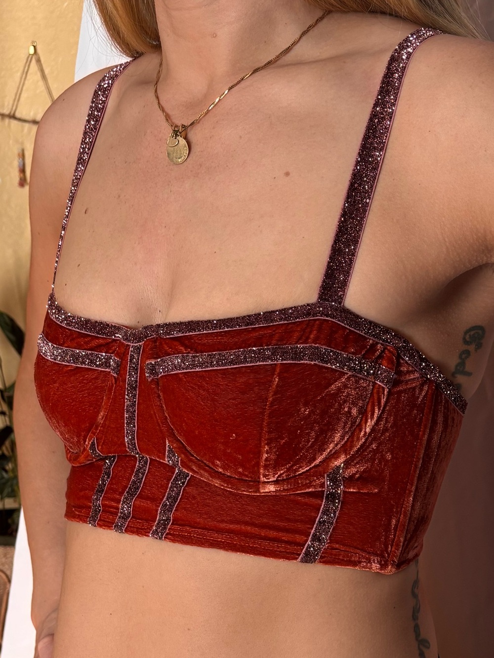 For Love & Lemons Velvet Corset Sabina Bra Top in Terracotta